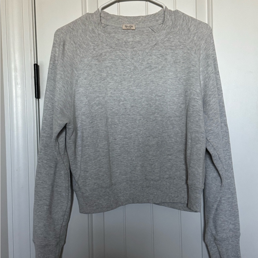 Brandy Melville (J. Galt) Grey Cropped Sweatshirt